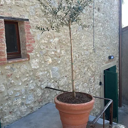 Primo Maggio *